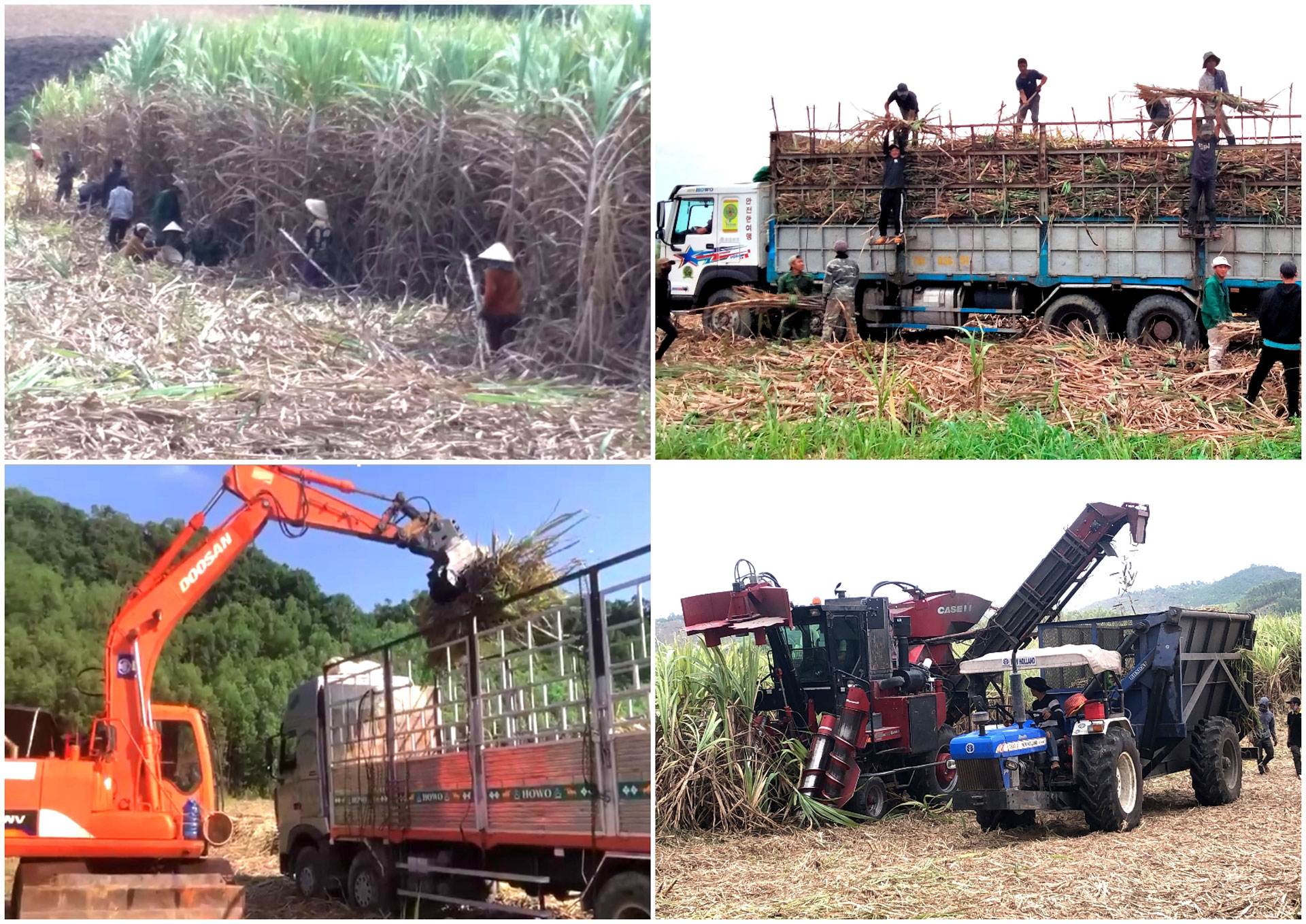 KCP đầu tư dụng cụ nông nghiệp