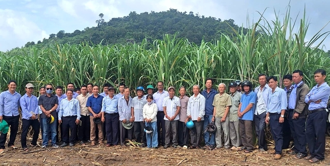 Tham quan mô hình chính