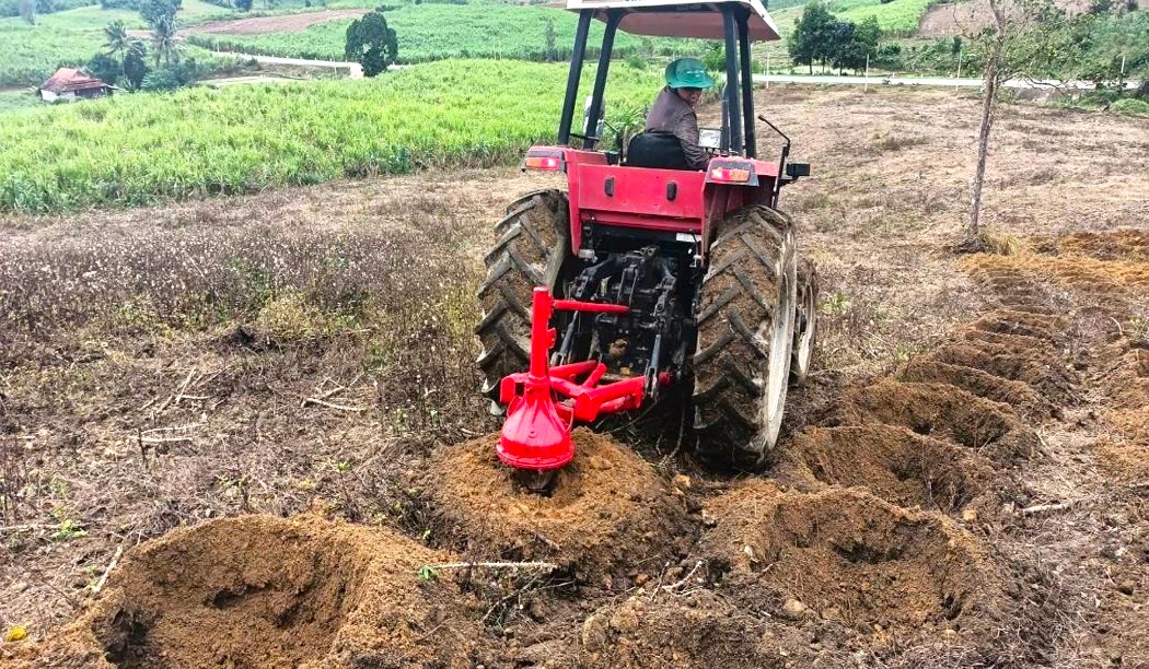 Chuẩn bị hố trồng mía