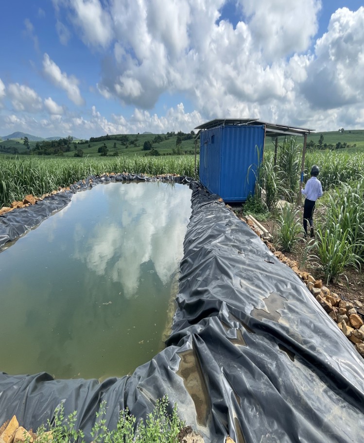 Hệ thống tưới